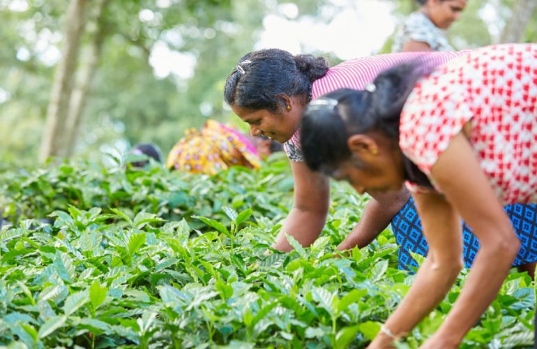 Communication of Climate Change in Sri Lanka