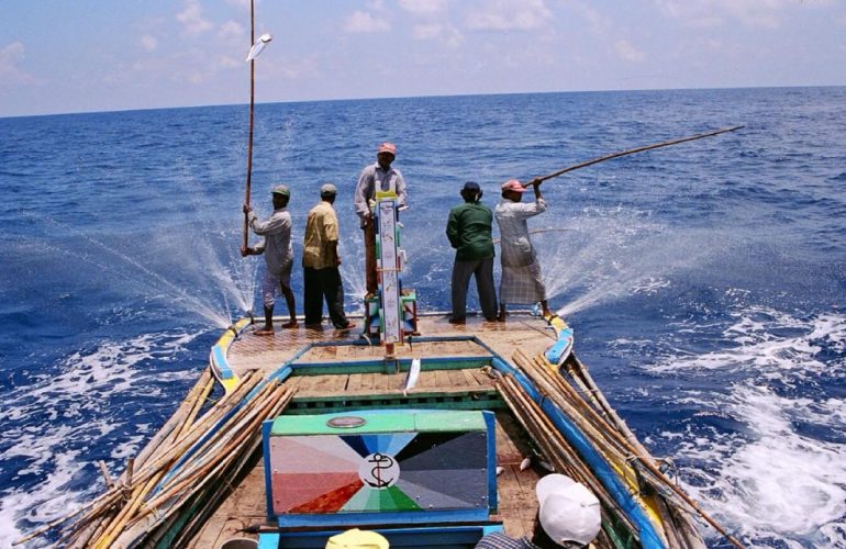 Navigating Climate Crisis