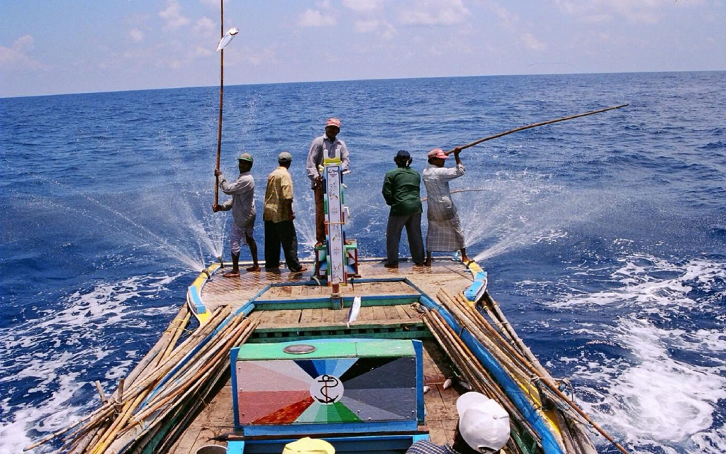 Navigating Climate Crisis